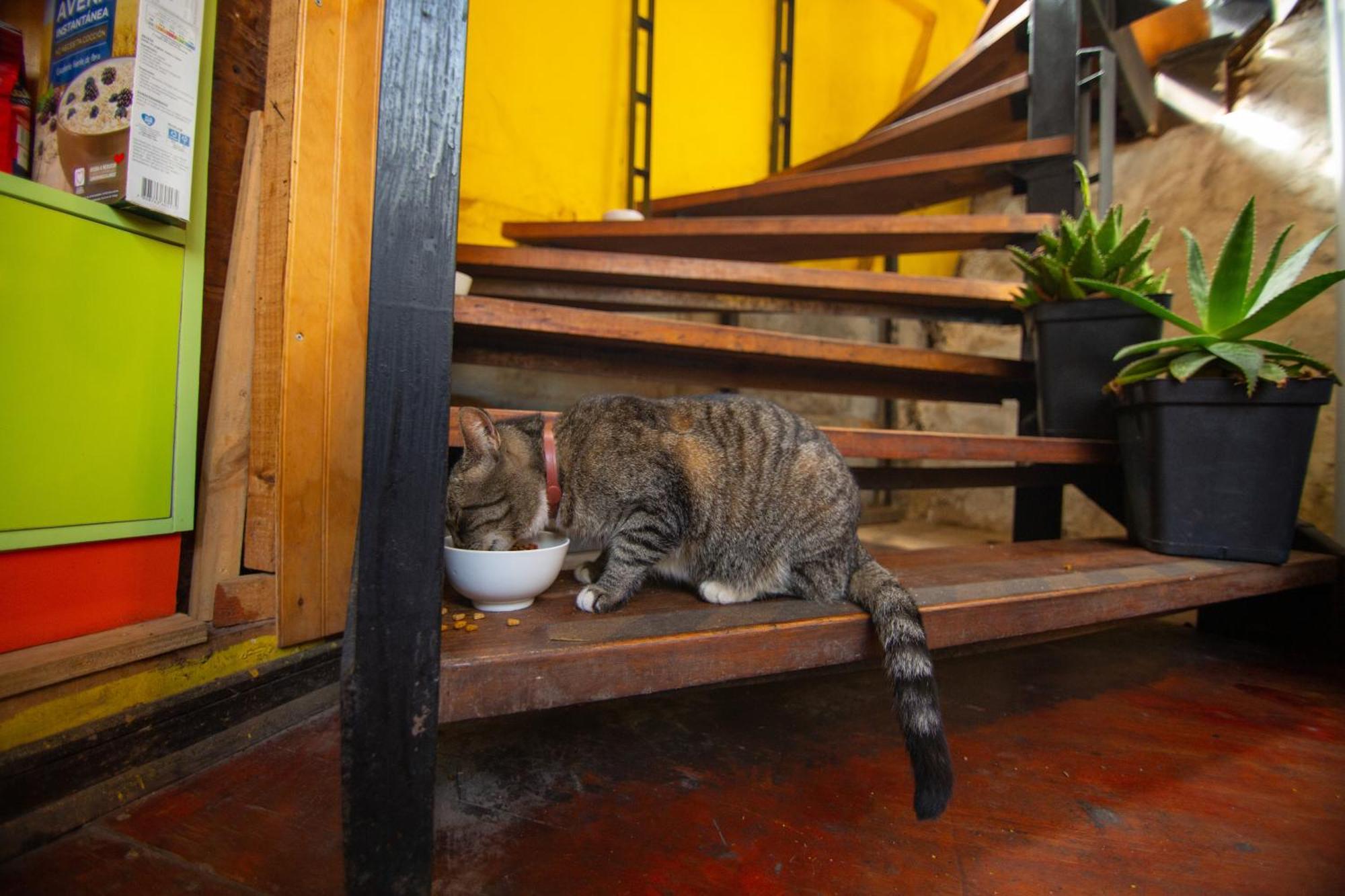 La Casa Del Puerto, Hostal Cultural, Cerro Alegre Valparaiso Ngoại thất bức ảnh