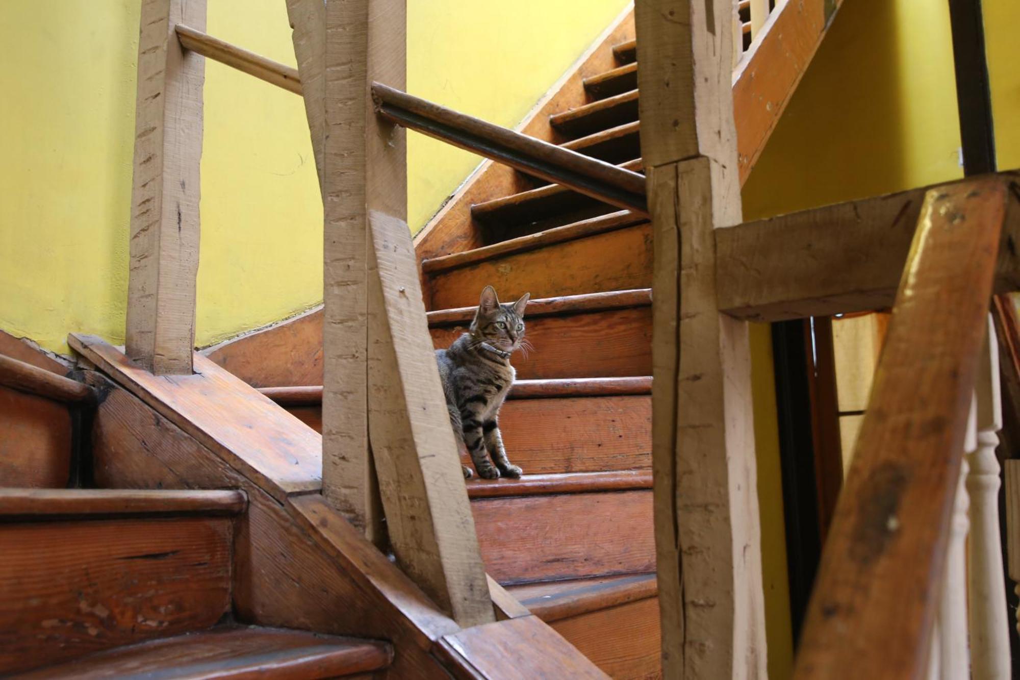 La Casa Del Puerto, Hostal Cultural, Cerro Alegre Valparaiso Ngoại thất bức ảnh